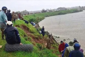 Mưa lũ đe dọa các đê sông Hồng, sông Cầu, sông Cả