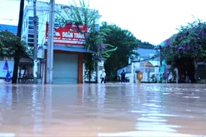 Quân đội tập trung ứng phó khẩn cấp với mưa, lũ ở tỉnh Nghệ An