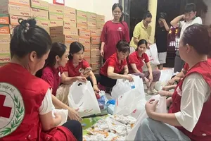 Hội Chữ thập đỏ Việt Nam cứu trợ khẩn cấp người dân vùng lũ Nghệ An