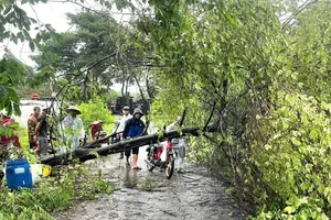 Xã Củ Chi hỗ trợ các hộ dân bị tốc mái nhà do mưa dông