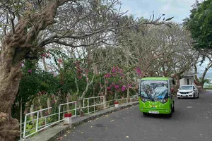 Khách lên ngọn Hải đăng Vũng Tàu tham quan, trải nghiệm