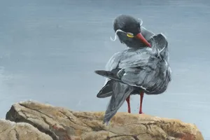 Họa sĩ Đào Văn Hoàng: Trăn trở cùng thiên nhiên qua từng nét cọ