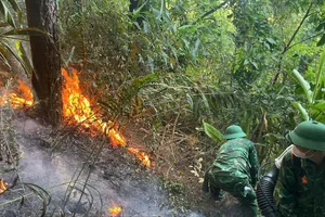 Đồn Biên phòng Roòn tham gia chữa cháy rừng phòng hộ ở Đèo Ngang