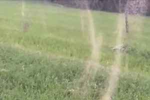 Sơn La: Hàng chục “cột khói lạ” trên ruộng lúa