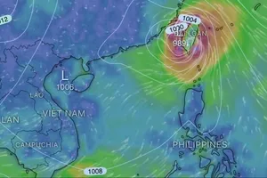 Biển Đông có gió mạnh cấp 7-9