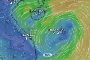 Bộ Nông nghiệp và Môi trường đề nghị ứng phó áp thấp nhiệt đới 