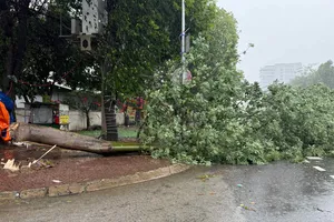 Nghệ An thông báo cấm đường tạm thời để phòng, chống bão số 5