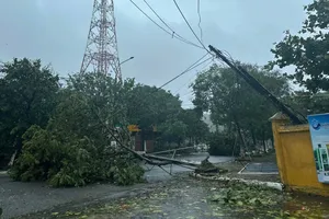 Bão số 5 bắt đầu gây mưa to gió lớn ở đặc khu Cồn Cỏ 