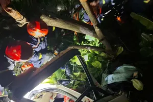 Lực lượng chức năng phá cabin cứu tài xế mắc kẹt sau va chạm giao thông