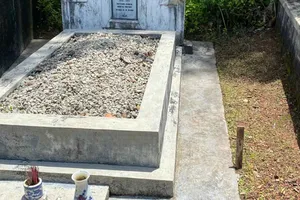 Cọc đã nhổ và đưa ra ngoài huyệt mộ