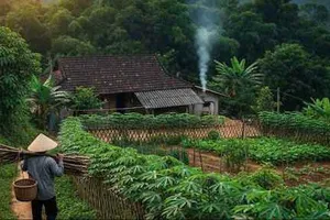 Dưới những ngọn núi