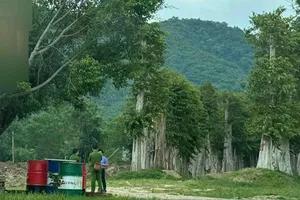 Xem xét xử lý cán bộ, lãnh đạo thuộc Sở NN-MT Gia Lai gây thất thoát, nhận hối lộ