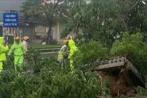Bão số 10 đổ bộ đất liền: 4-5 giờ sáng là thời điểm nguy hiểm nhất