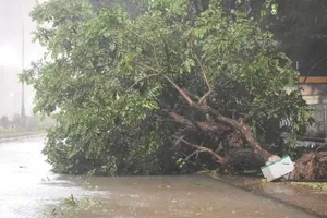 Bão đã vào đất liền, mưa gió trên diện rộng