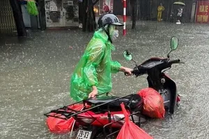 Doanh nghiệp bảo hiểm khẩn trương báo cáo và bồi thường thiệt hại sau bão số 10