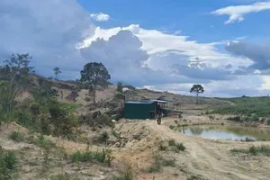 Đắk Lắk: Xử lý 4 trường hợp lấn chiếm đất lâm nghiệp trái phép