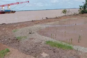 Vĩnh Long: Sạt lở bờ biển xã Long Vĩnh