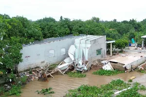 Đồng Tháp: Khẩn cấp xây dựng công trình khắc phục sạt lở bờ sông Tiền 