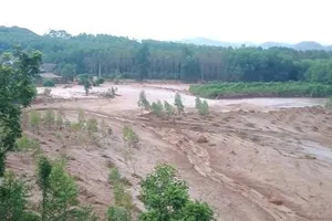 Bùn tràn ra cánh đồng tại xã Nam Hòa