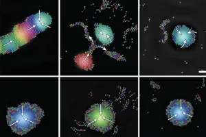 Robot tí hon với những nhiệm vụ đầy thách thức