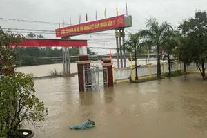 Quảng Ngãi: Nhiều nơi ngập trở lại sau mưa lớn sáng 1-11