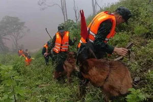 Huy động chó nghiệp vụ, flycam tìm nạn nhân vụ sạt lở ở Hùng Sơn