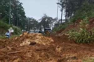 Quảng Ngãi: Quốc lộ 24 sạt lở do mưa lớn