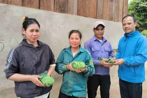 Xã Đăk Sao (tỉnh Quảng Ngãi): Mở hướng liên kết, tạo sinh kế giảm nghèo