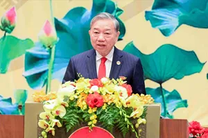 Quốc hội phát huy dân chủ, pháp quyền, hiện đại, chuyên nghiệp