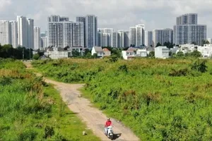 Phó Chủ tịch UBND TPHCM Bùi Minh Thạnh và Thứ trưởng Bộ NN-MT Võ Văn Hưng tham dự hội nghị. Ảnh: THÀNH HUY