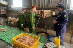 Lực lượng chức năng kiểm tra tại cơ sở kinh doanh chứa da heo