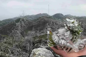 Cảnh tượng tại núi rừng Xín Cái - Mèo Vạc 