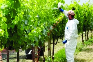 Công nghệ lớp phủ sinh học giúp giảm lượng thuốc trừ sâu tại Israel (ẢNH: FERTILIZER DAILY)