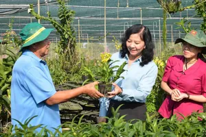 Lãnh đạo Hội Nông dân TPHCM thăm, động viên người trồng hoa tết xã Bình Chánh