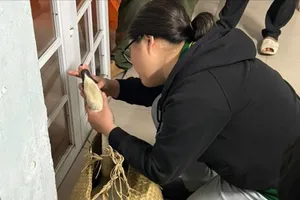 Kịp thời giải cứu thiên nga trắng bị trộm ở Thảo Cầm Viên Sài Gòn