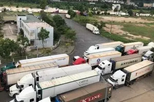 Tạm dừng áp dụng Nghị định số 46 về an toàn thực phẩm đến hết ngày 15-4-2026