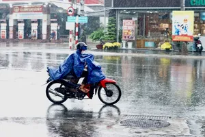 Mưa trái mùa ở Nam bộ có thể đến ngày 13-2