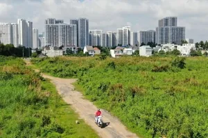 Một khu đất tại TPHCM. Ảnh: HOÀNG HÙNG