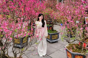 Một bạn trẻ tạo dáng chụp hình bên vườn đào quý ở vườn hoa Lý Thái Tổ. Ảnh: QUỐC KHÁNH