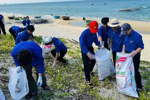 Thực hiện nghi thức phát động chương trình