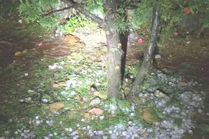 Mưa đá ở xã Bắc Hà (tỉnh Lào Cai) ngày 16-4. Ảnh do người dân chia sẻ