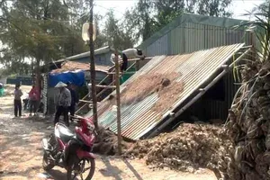 Phường Phước Thắng tháo dỡ 8 công trình xây dựng trái phép