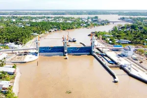 Xâm nhập mặn tăng cao ở ĐBSCL trong các ngày tới