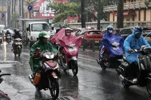Ảnh minh họa từ nguồn Báo SGGP: https://www.sggp.org.vn/mua-dong-dien-rong-o-tay-nam-bo-va-nam-trung-bo-co-noi-tren-130mm-post840258.html