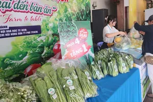 Nông sản địa phương tìm đường lên sàn thương mại điện tử