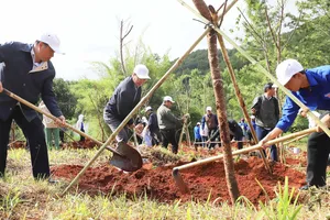 Nhiều nơi ở Lâm Đồng, Đắk Lắk phát động "Tết trồng cây đời đời nhớ ơn Bác Hồ"