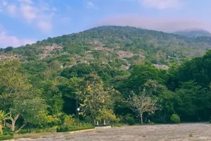 Tỉnh Tây Ninh kiểm soát người ra vào rừng nhằm bảo vệ và phòng chống cháy rừng trong thời điểm nắng nóng. Ảnh: QUANG VINH