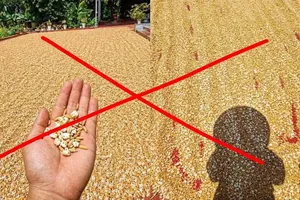 Dừng một nhịp trước khi chia sẻ
