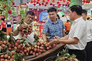 Vải Thiều lục ngạn đang được trưng bày bán tại CoopXtra Linh Trung, TPHCM