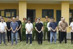 Các đối tượng bị lực lượng chức năng khởi tố, bắt giữ. Ảnh: QUANG VĂN